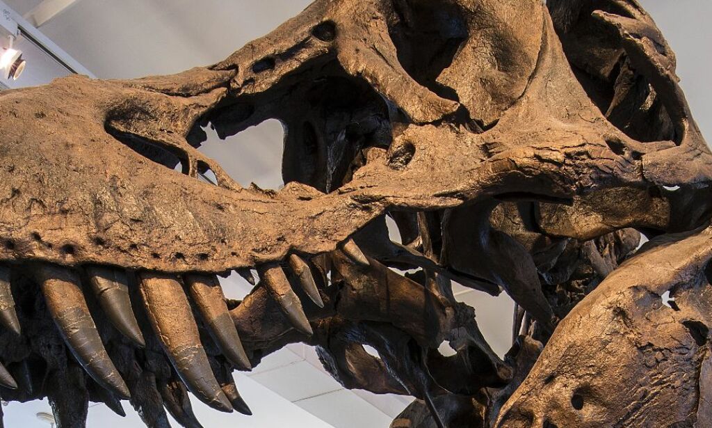 Dramatikk på Geologisk museum. Interiør fratas fredning: - Kan ikke være riktig