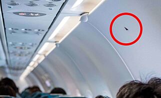 Har du lurt på hva disse små trekantene inne i flyet betyr? Her er svaret