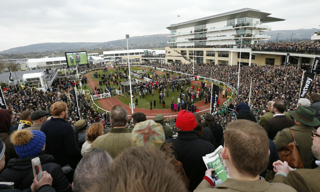 Horse Racing - Cheltenham Festival - Cheltenham Racecourse - 16/3/16
A general view of the winners enclosure after the 3.30 Betway Queen Mother Champion Steeple Chase
Action Images via Reuters / Andrew Boyers
Livepic
EDITORIAL USE ONLY.