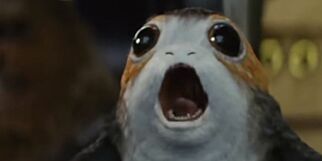 De nye skapningene i «Star Wars: The Last Jedi» skaper debatt blant skuespillerne