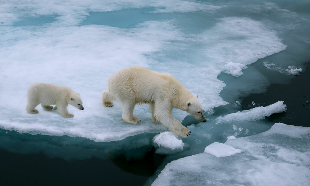 Klimaendringer kan gi en kraftig økning i antall asylsøkere til Europa