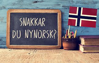 Kjært barn har mange navn