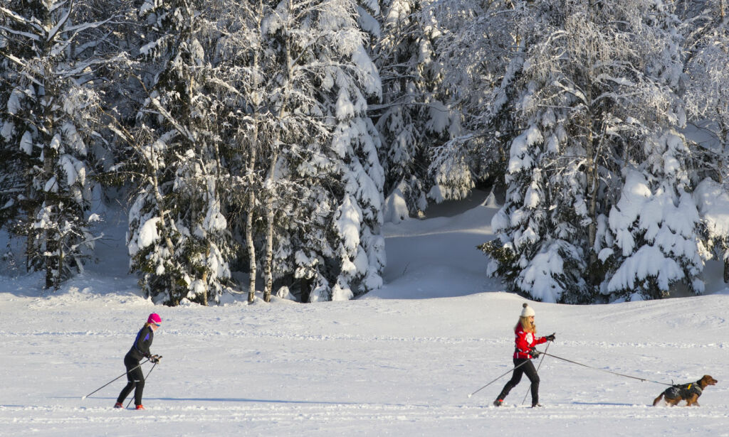 Advarte mot snøutsletting. Nå har de ikke sett mer på en mannsalder