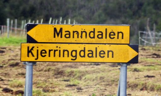 Heller ikke i et likestilt samfunn vil menn og kvinner velge det samme