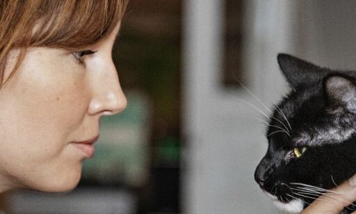 Slik forstår du katten din